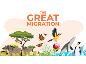 tgm-insentragram-banner.png Australia | Insights