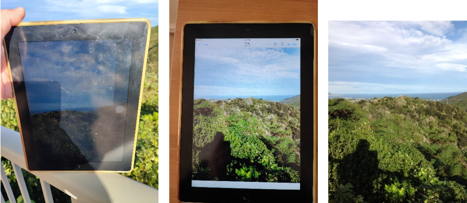 Australia | Reviving and Surviving My Old iPad