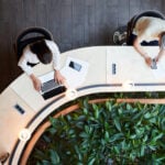 What Is Microsoft Places and How Can It Transform Work?