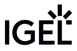 igel_logo_img_sm_blk.png United Kingdom | Western Health IGel Case Study
