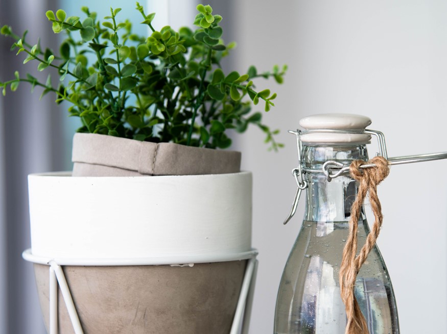 New Zealand | The key to sustainability