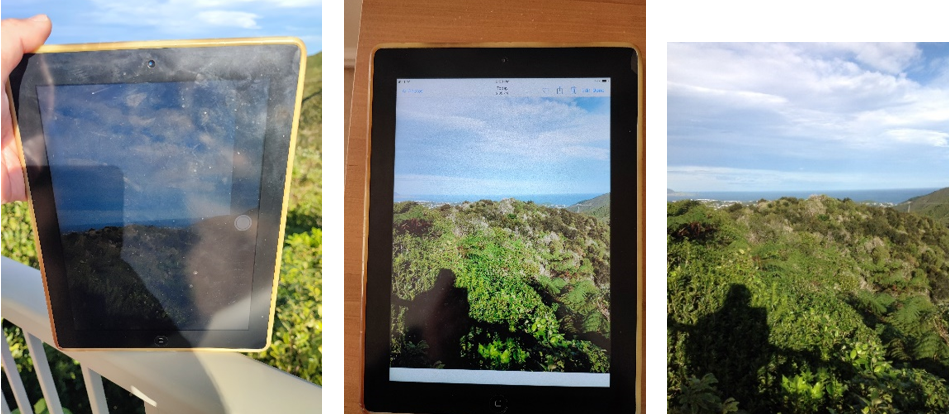 New Zealand | Reviving and Surviving My Old iPad