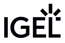 New Zealand | Western Health IGel Case Study