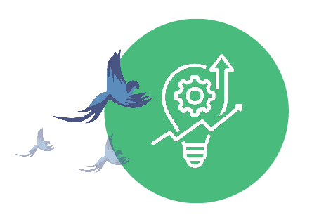 New Zealand | The Ultimate Guide to Microsoft Intune