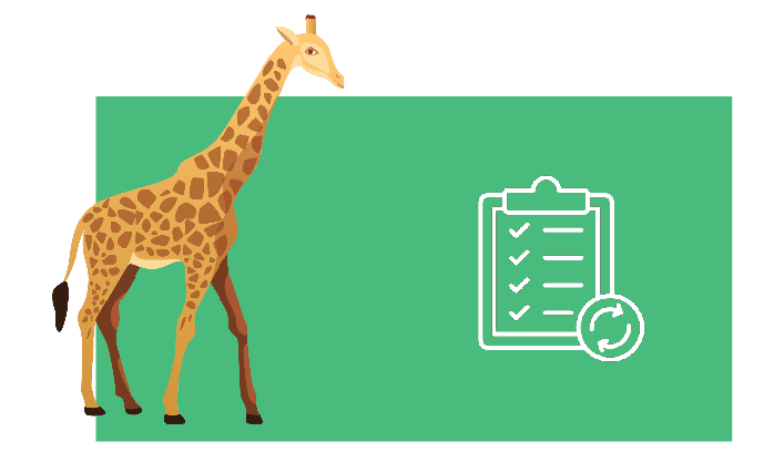 New Zealand | The Ultimate Guide to Microsoft Intune