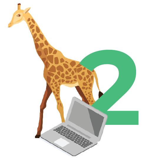 New Zealand | The Ultimate Guide to Microsoft Intune