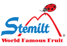 United States | Stemlit Fruit Citrix Virtual Case Study