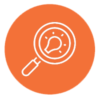 United States | Empower your Decisions:Mastering Business Intelligence with Power BI