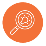 United States | Empower your Decisions:Mastering Business Intelligence with Power BI